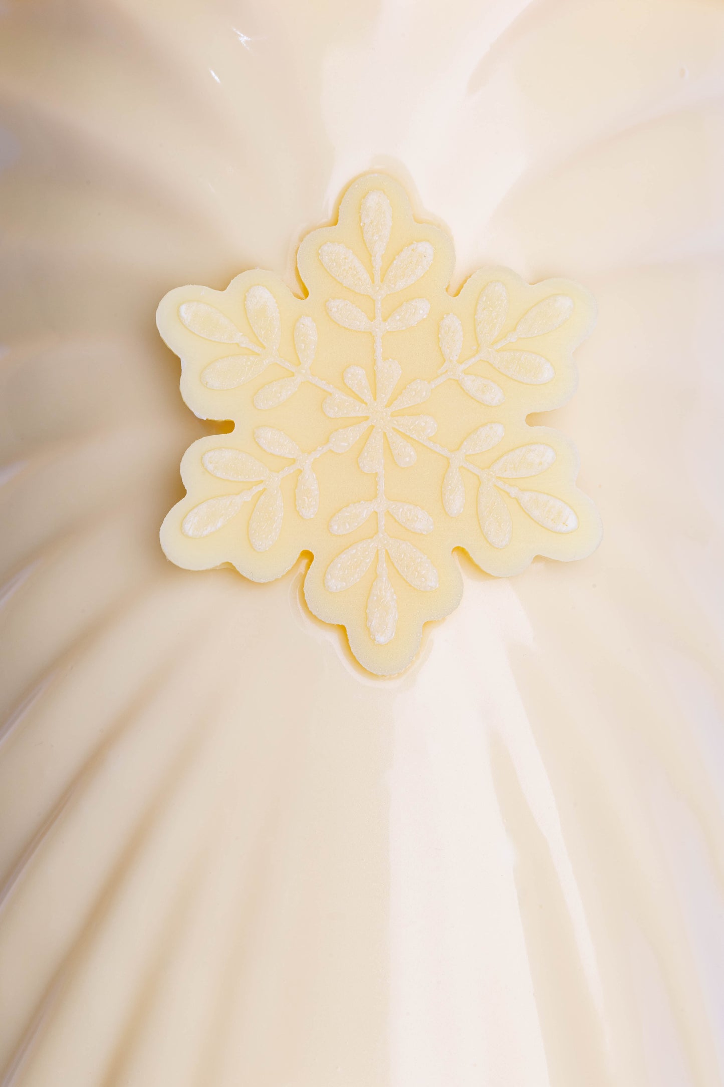 La Bûche ETOILE BLANCHE - 10 personnes